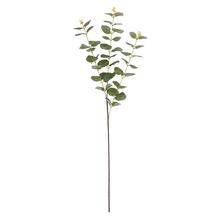 Umelé kvety Eucalyptus Cinerea zelený 83 cm