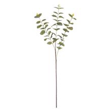 Umelé kvety Eucalyptus Cinerea v zelenej a sivej farbe, 83 cm