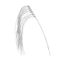 Strieborný prevísajúci konár vŕby s dĺžkou 110 cm.