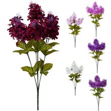 Kytica orgovánu mix s rôznymi farbami.