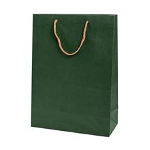 Púdravo zelená papierová taška s hnedým uchom.