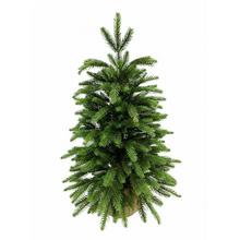Vianočný stromček smrek pravidelný v jute 60 cm.