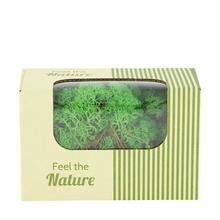 Moss Reindeer Zelená 50g v krabičke.