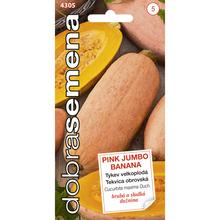 Semená tekvice Pink Jumbo Banana
