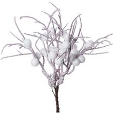 Zápich s bielymi bobuľami na prírodnej stonke.