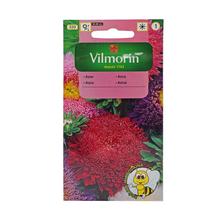 Semená ASTRA čín.pompon. ZMES 1,5g 50% GRATIS