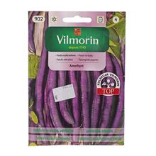 Semená fazule záhradnej Amethyst 30g.