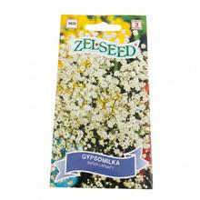 Semená gypsomilky bielej trvalky 0,8g