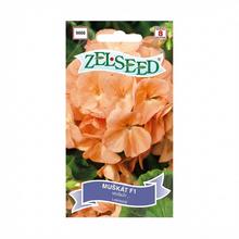 Semená pelargónie krúž lososová F1