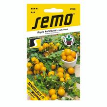 Semená rajčiaka kríčkového Minigelbus F1.