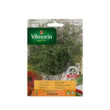 Semená kôpru nízkeho do nádob.