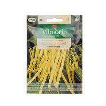 Semená fazule Golden Teepee 30g