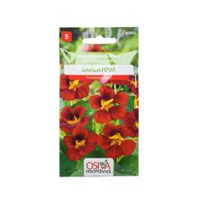 Semená kapucínky šarlátovej v balení 10 kusov.