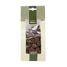 Sušený materiál Casuarina v balení.