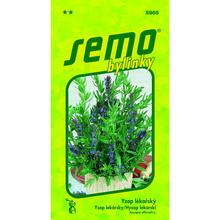 YZOP LEKÁRSKY 0,4g  - FLORASYSTEM