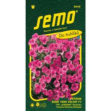 PETÚNKA TYP SURF. ROSE VEIN VELVET F1 10pel - FLORASYSTEM
