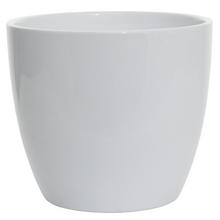 27808 OBAL ALASKA WEISS 920/14 - FLORASYSTEM