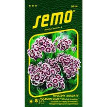 KLINČEK BRAD.HOLBORN GLORY (HEIMATLAND)0,50g  - FLORASYSTEM