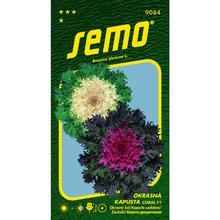 Semená okrasného kelu Coral F1 mix.