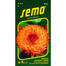 NECHTÍK LEK NEON 0,8g  - FLORASYSTEM