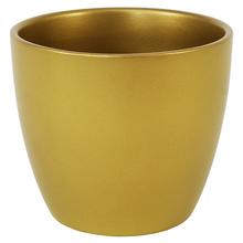AKCIA 29422 OBAL GOLD 920/14 - FLORASYSTEM