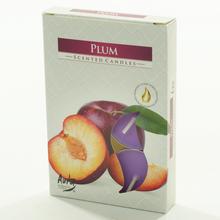 ČAJOVÉ VOŇAVÉ/6 SLIVKA - FLORASYSTEM