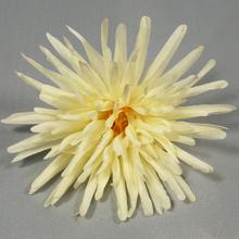 24FLK02-0225 HLAVA CHRYZ. STRAPATÁ KRÉM PRIEM:13CM BAL:12KS - FLORASYSTEM