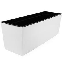 556 HRANTÍK+VKLAD BEGONIA BIELY 19x56x19cm  - FLORASYSTEM