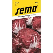 Semená čakanky šalátovej Anna/Palla Rossa 50s