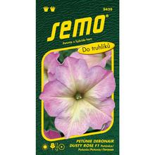 PETÚNKA MNOHOKV. DEBONAIR DUSTY ROSE F1 15pel. - FLORASYSTEM