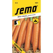 MRKVA KAROTINA 2,5g  - FLORASYSTEM