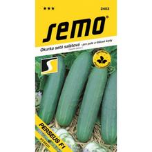 UHORKA ŠAL PERSEUS F1 1,3g  - FLORASYSTEM