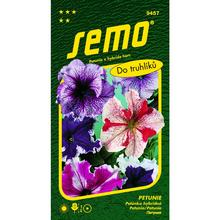 PETUNIA SUPERBISIMA ZMES 0,05g - FLORASYSTEM