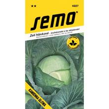 KAPUSTA NESK. KAMIENNA GLOWA 0,8g  - FLORASYSTEM