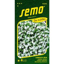 LOBELKA BIELA 0,25g - FLORASYSTEM