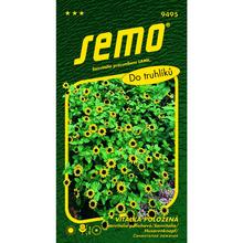 SANVITALIA POLIEHAVÁ ŽLTÁ 0,5G - FLORASYSTEM