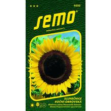 SLNEČNICA ROČNÁ OBROVSKÁ 2g - FLORASYSTEM