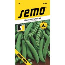 HRACH RADOVAN 20g  - FLORASYSTEM