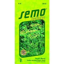 FENIKEL OBYČAJNÝ 2g - FLORASYSTEM