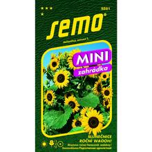 SLNEČNICA ROČNÁ WAOOH 0,8g - FLORASYSTEM