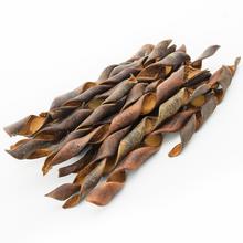 I197P SQURIBAN NAT 20cm - FLORASYSTEM