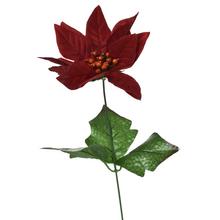 AKCIA! KS POINSETTIA 50CM - FLORASYSTEM