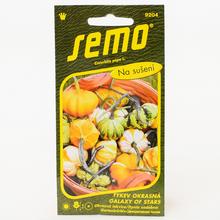 TEKVICA OKR.GALAXY OF STARS F1 12s  - FLORASYSTEM