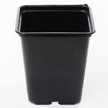 KONTAJNER 11x11x12cm - FLORASYSTEM