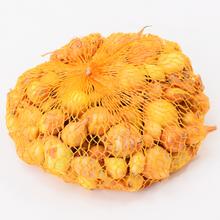 CIBUĽA SADIAČKA ŠTUT. 250g/80 - FLORASYSTEM