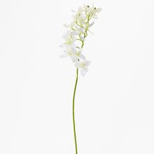 ORCHIDEA MINI BIELA KS 46CM - FLORASYSTEM