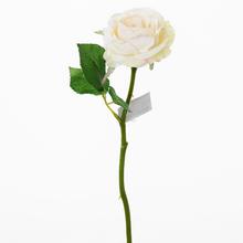 KS RUŽA SMOT. 30cm - FLORASYSTEM