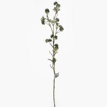 KS ZELEŇ BOBULE ZELENÉ 81CM - FLORASYSTEM