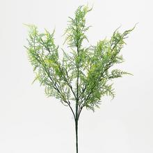 ZÁPICH ZELEŇ TUJA 55CM - FLORASYSTEM
