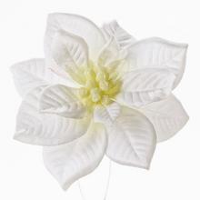 POINSETTIA BIELA KLIP 12CM - FLORASYSTEM
